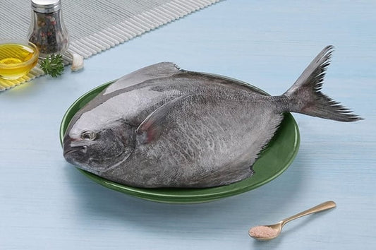 Black Pomfret / Karutha Avoli / Halwa Fish