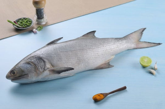 Indian Salmon / Vazhmeen / Raavas / Gurjali/