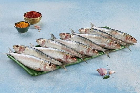 Premium Sardine / Mathi / Tarli