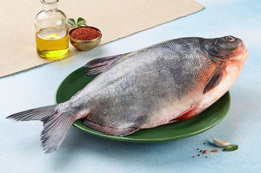 Rupchanda / Roopchand / River Pomfret